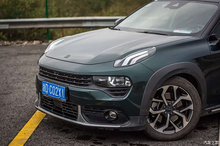 雨后的阴天摆拍来一组讲解下我的时光绿