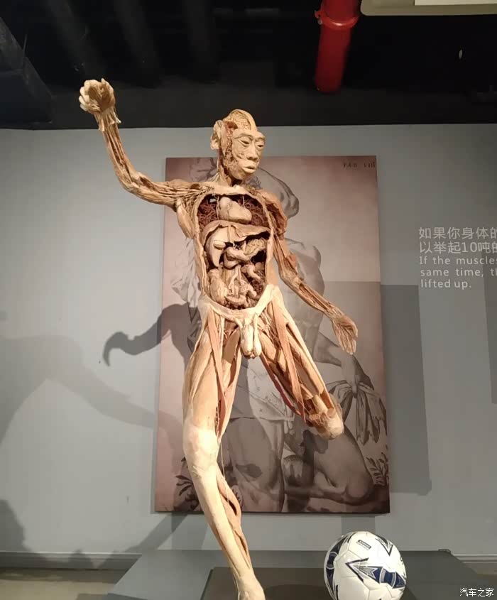 自驾荣威rx5max打卡生命奥秘博物馆