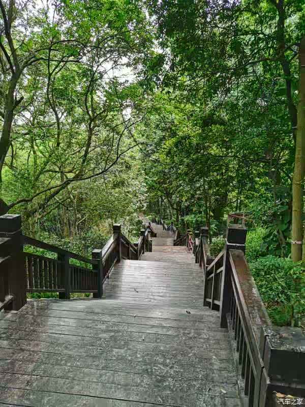 广州周末遛娃好去处天麓湖森林公园