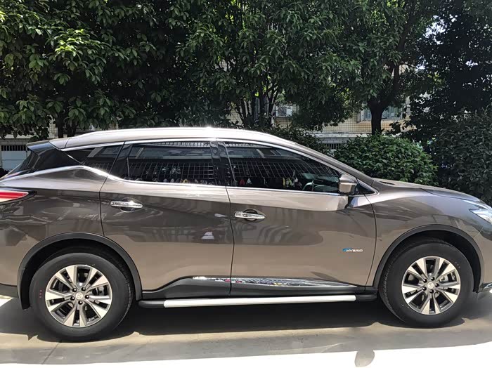 楼兰到底选什么颜色啊