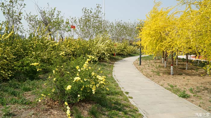 迎暖春送积分走进新村公园