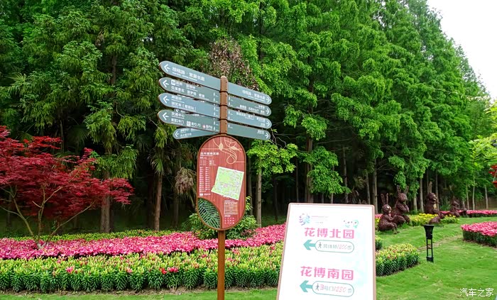 周末自驾游崇明举家欢欣赏花博