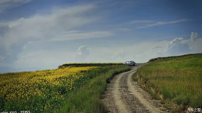 西宁大酉山的油菜花来啦