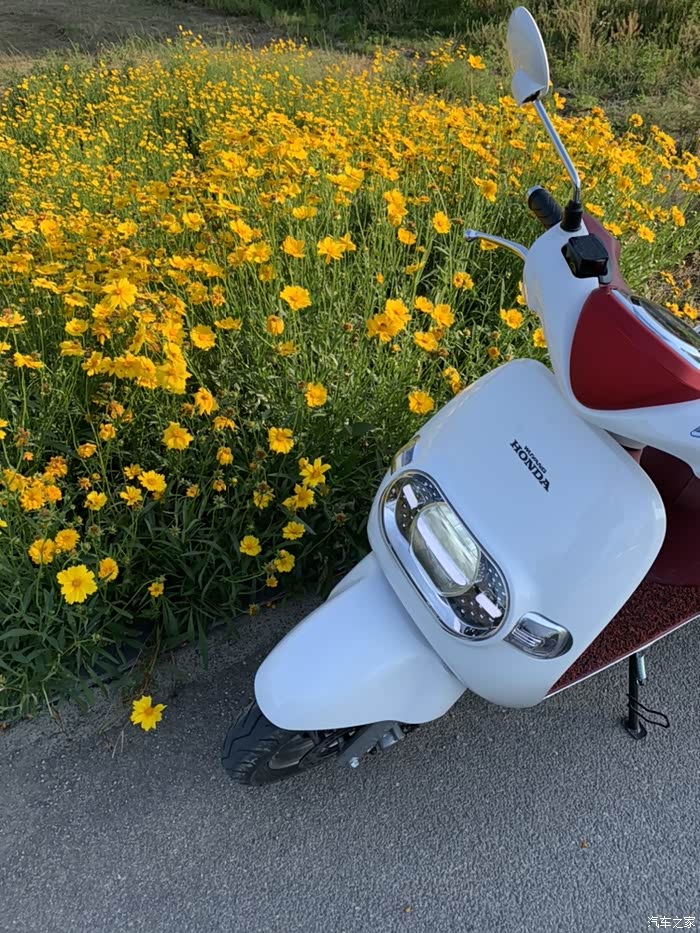 五羊本田塔帕tapas100提车首箱油耗测试