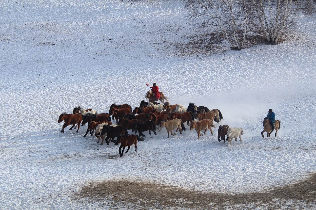 踏雪无痕的万马奔腾真好看