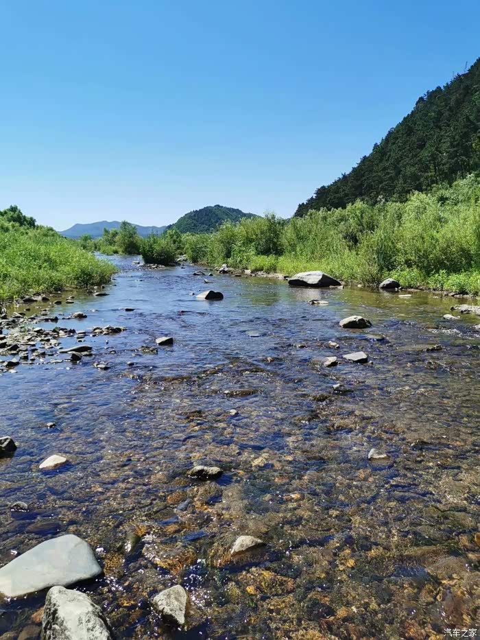 社河湿地公园,为我市再添一道靓丽的风景