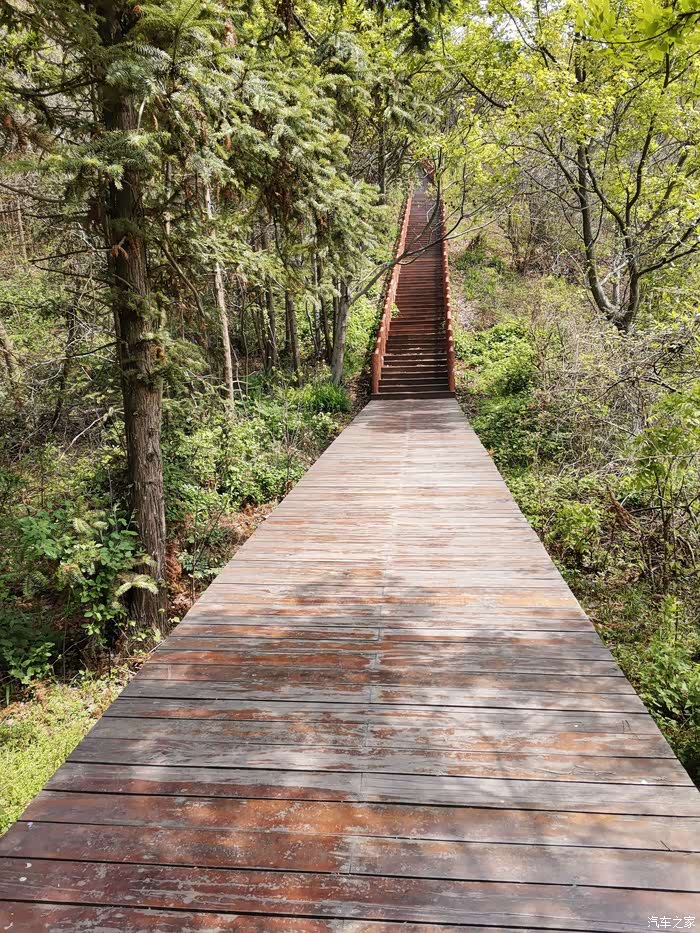 庐江黄山寨美丽阳家墩