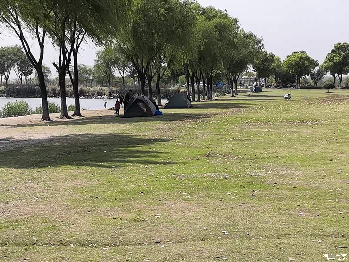 忙里偷闲我与75plus打卡漕湖湿地公园