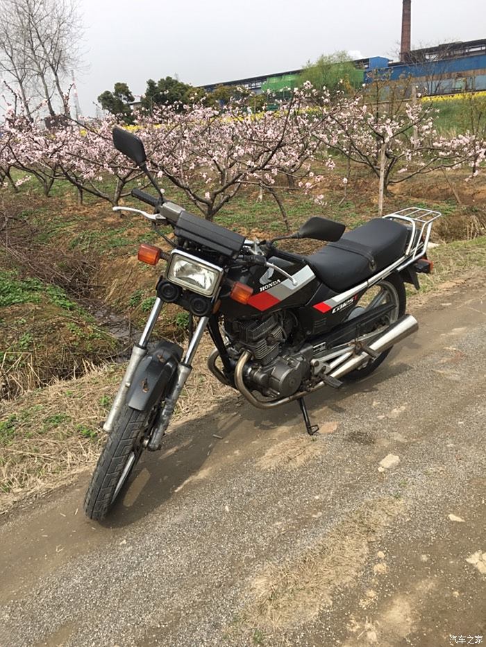 本田王中王摩托车图片