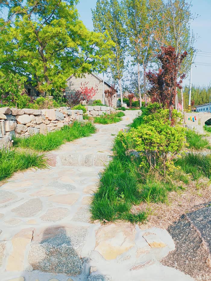 【图】h6周末春日游 春游桐花秧村_哈弗h6论坛_汽车之家论坛