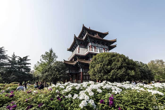 伊起逛逛吧,自驾去洛阳王城公园玩玩喽