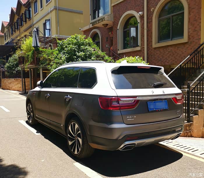 hs7灰白双拼改色贴膜