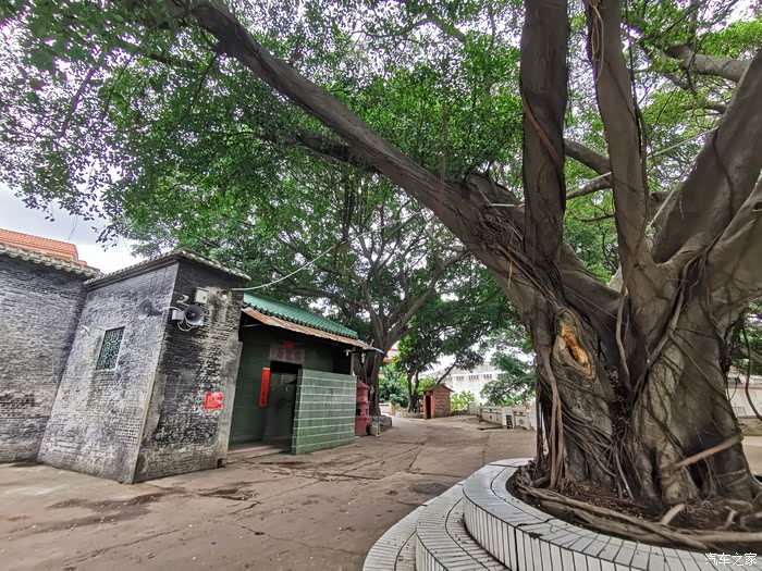 cs75游历佛山南粤文化-东岗村潘氏宗祠