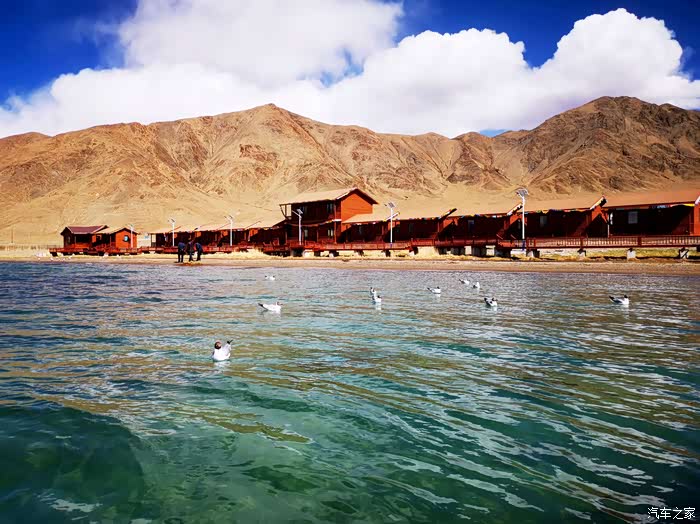 沉寂的古格王朝边陲鸟岛班公湖