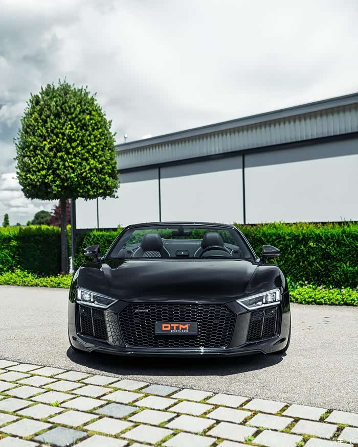 奥迪r8v10spyder颜值性能型