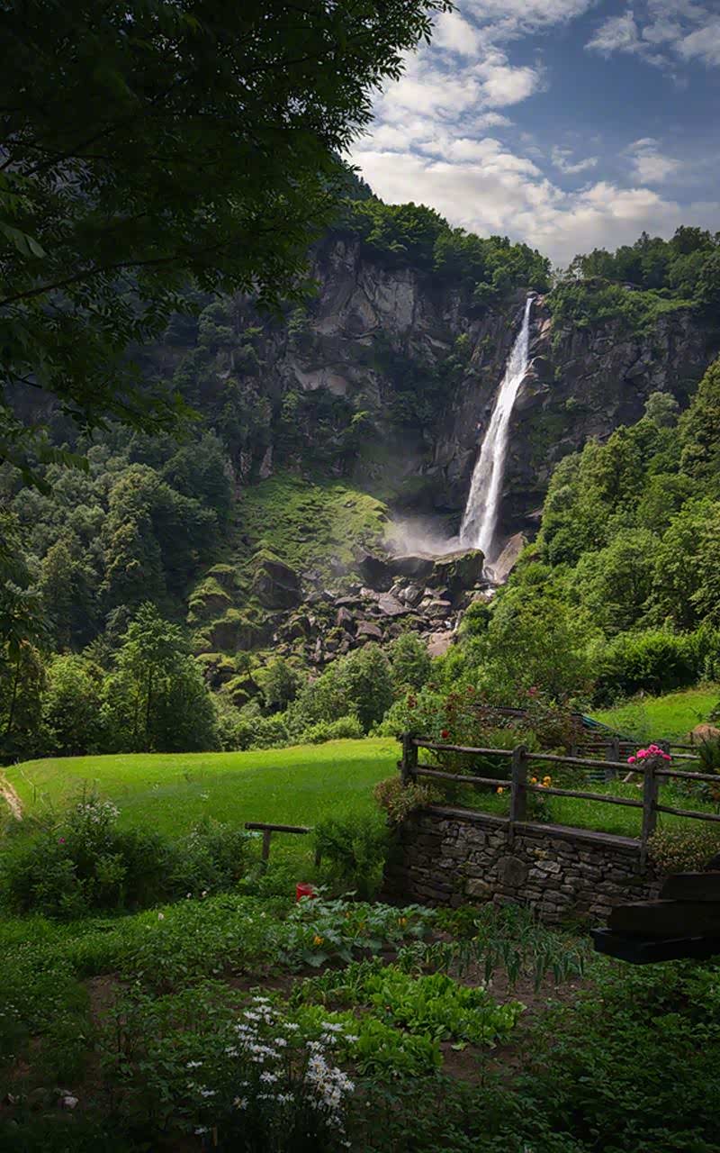 胜日寻芳泗水滨,无边光景一时新
