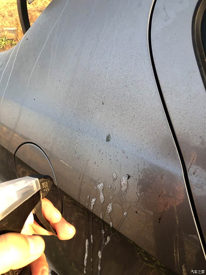 【图】车漆表面鸟粪树胶不用怕,虫胶卫士来帮忙_朗逸论坛_汽车之家