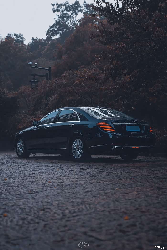 【图】"s式优雅"——w222欣赏_奔驰s级论坛_汽车之家论坛
