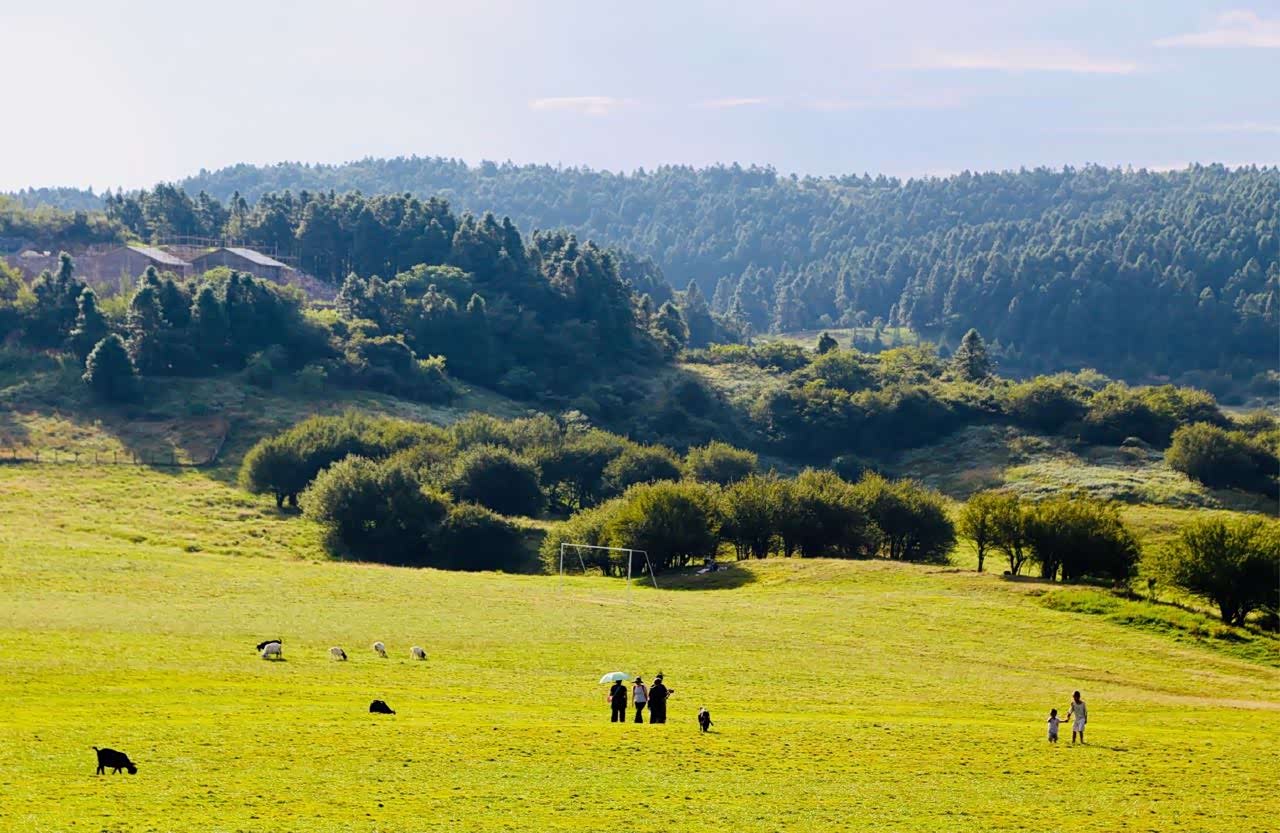 南国第一牧场——重庆仙女山大草原.