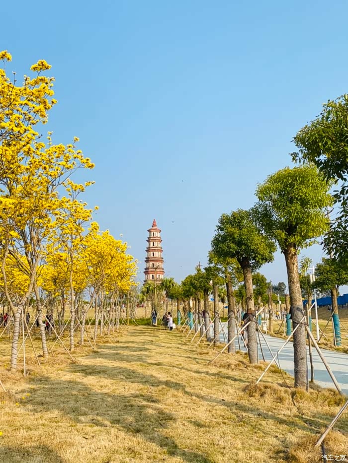 合浦文昌塔,可以说是合浦的地标