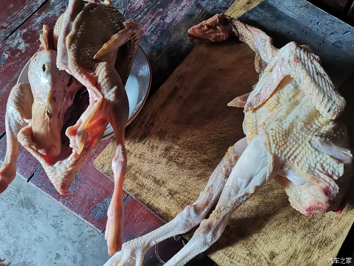来上一只正宗的土鸡土鸭