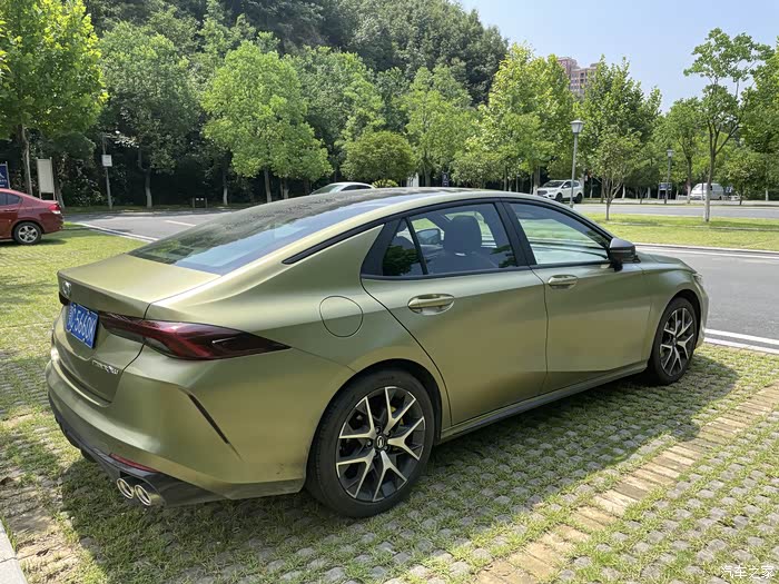 影豹女司机篇枫叶中的战机绿