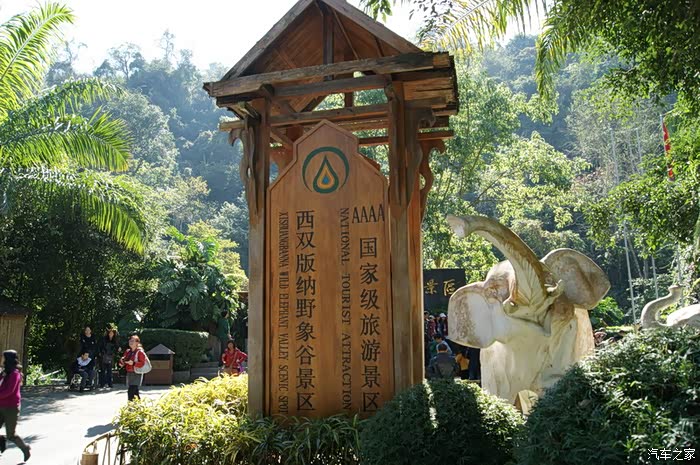 西双版纳行01西双版纳景洪野象谷景区