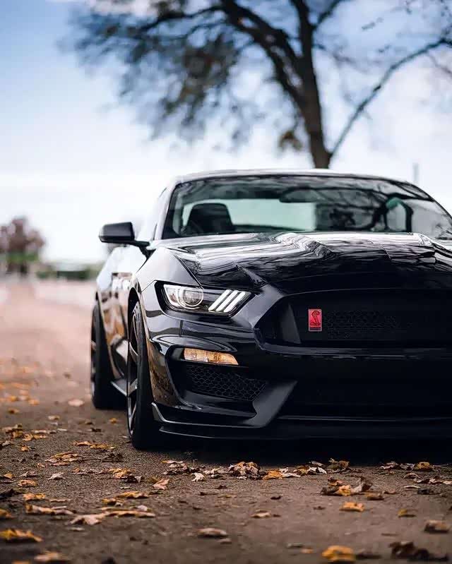 黑武士"野马gt350_野马ec60论坛_手机汽车之家