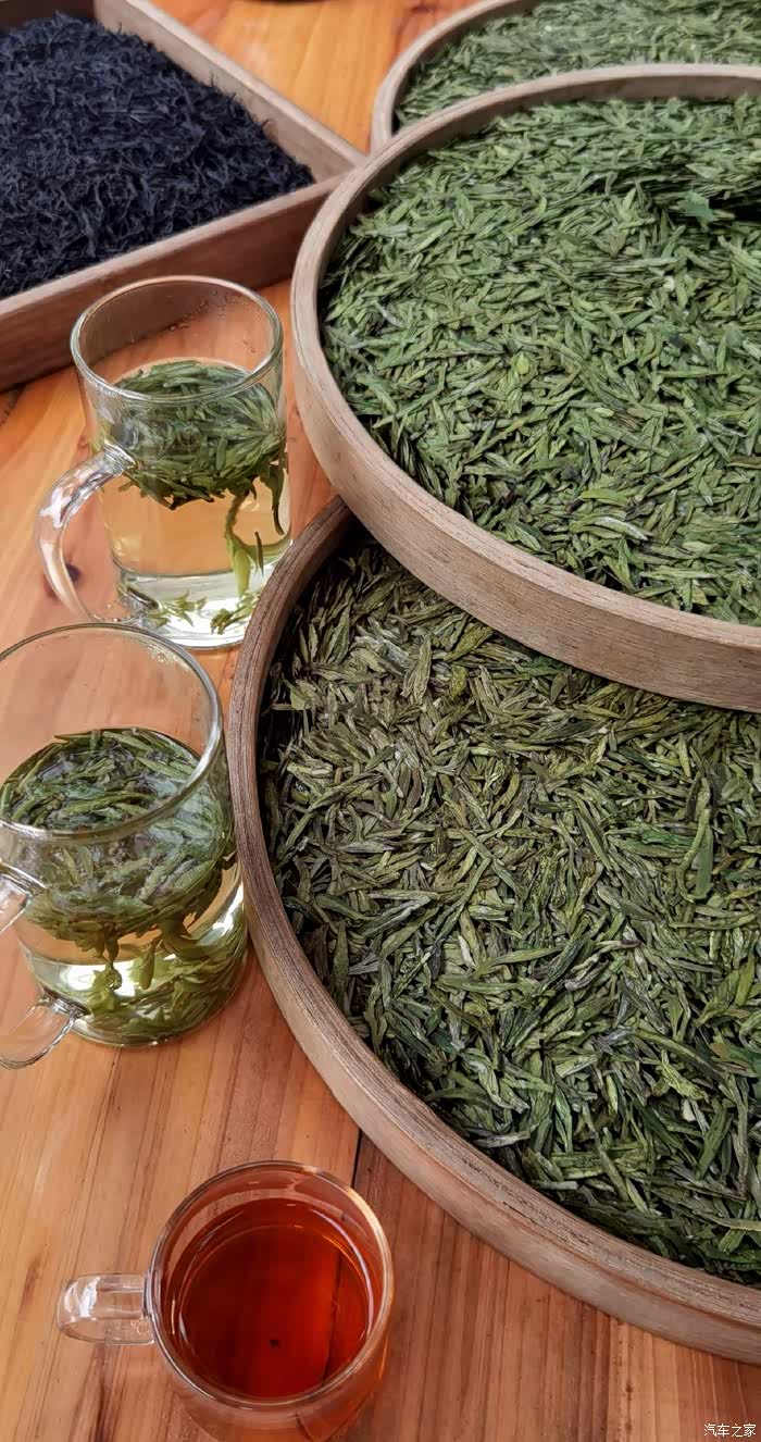 狮峰山上问龙井了解独特龙井茶文化