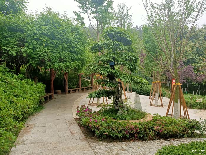 雨天的四方山植物园空气都变得清甜