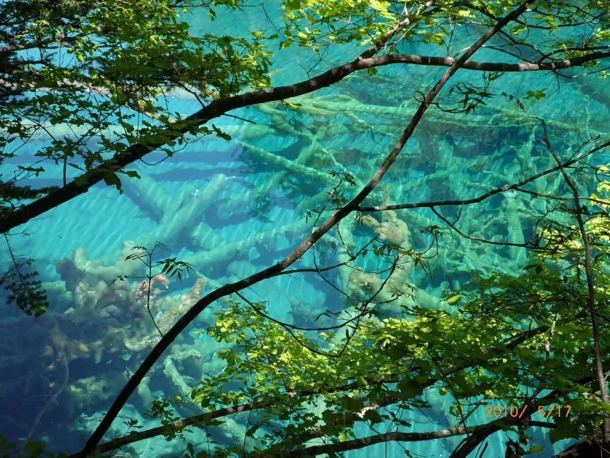 九寨风光美的令人惊诧金铃海