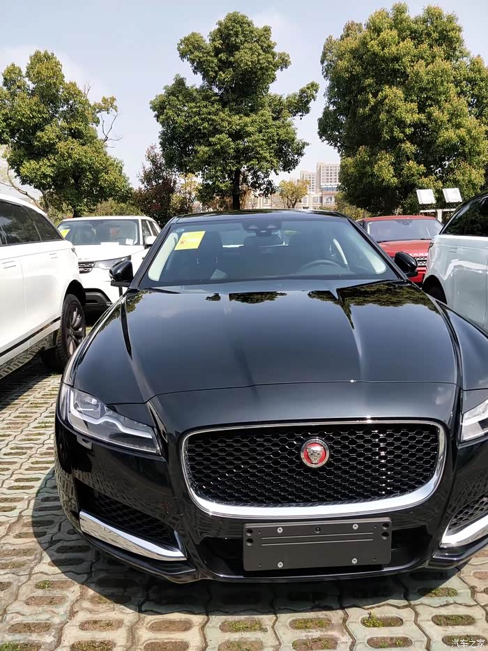 【图】91年大叔提黑豹1个月感受_捷豹xf/xfl论坛_汽车之家论坛