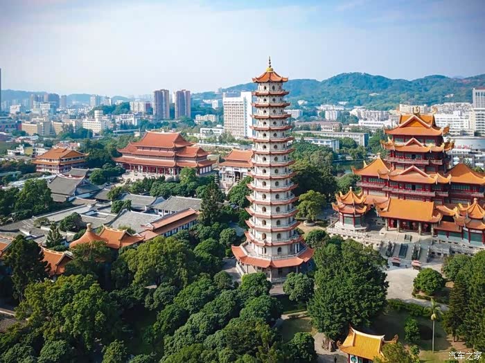 果实香甜汁水充足