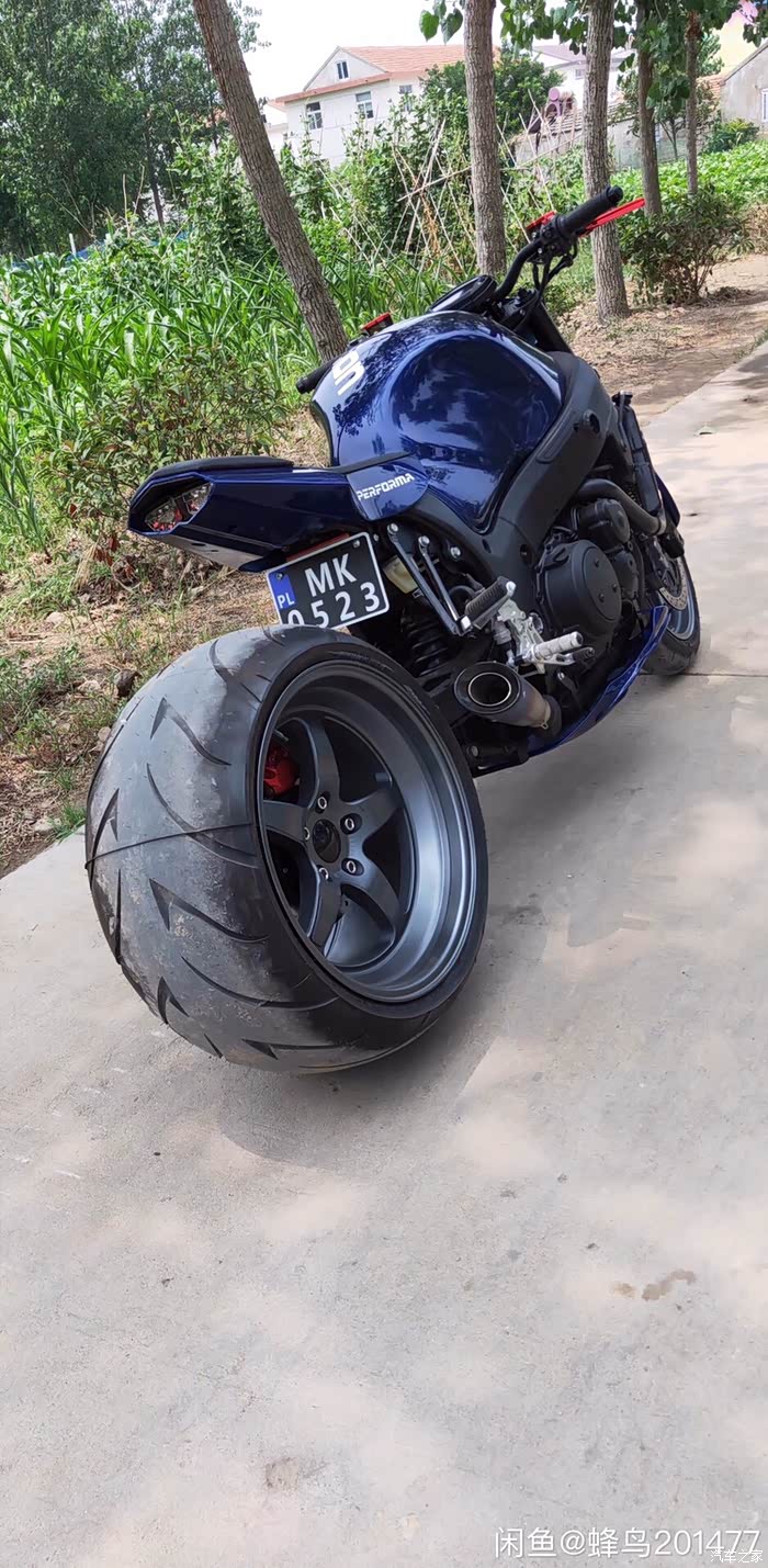 铃木隼改猎食者出