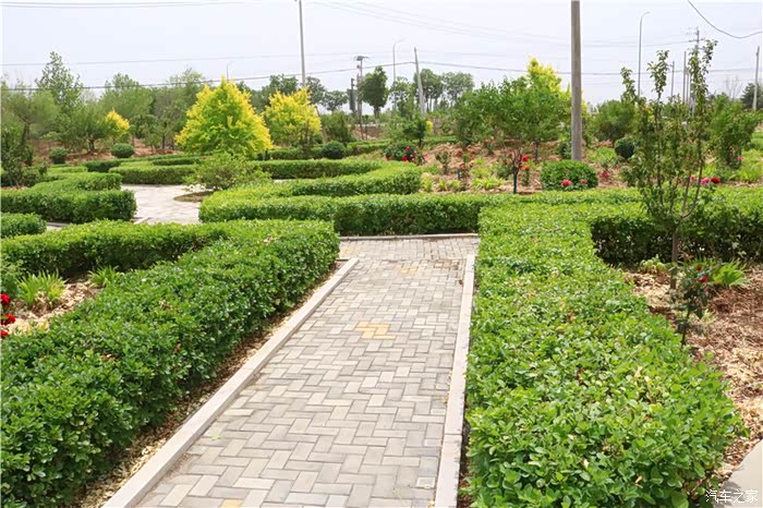 出行遇见乡村里的小公园