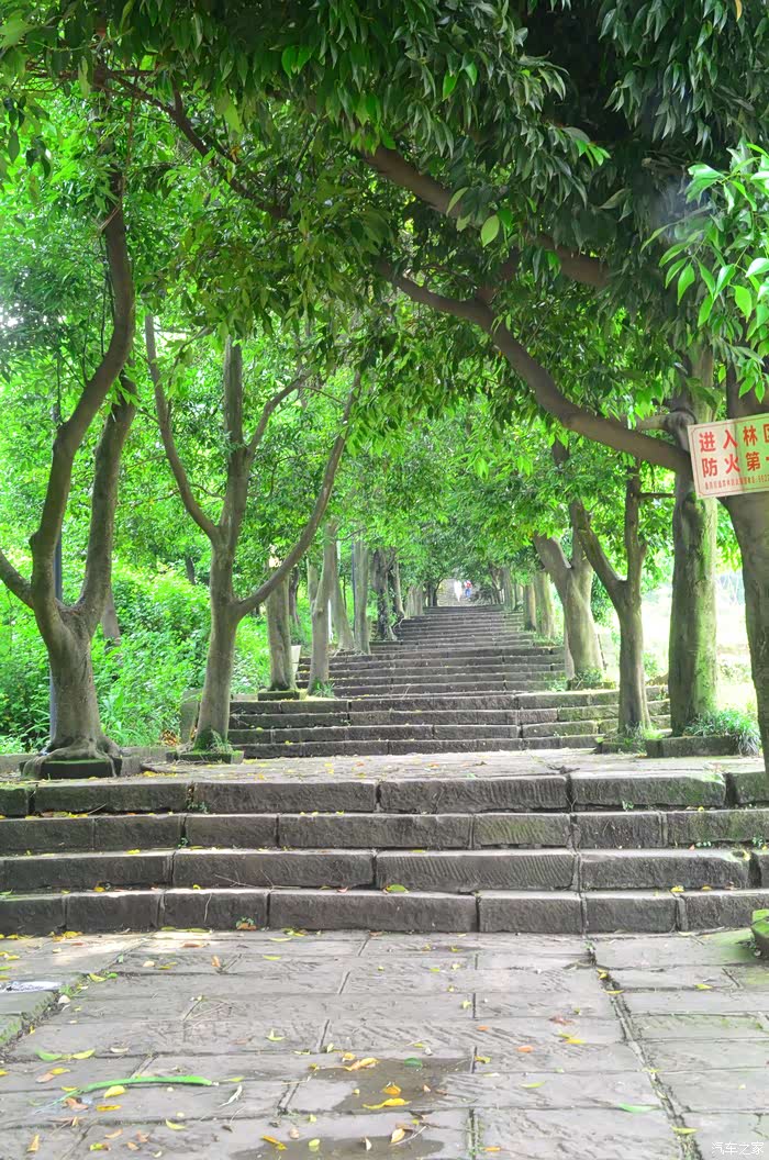 35plus陪伴我休闲游云篆山森林公园