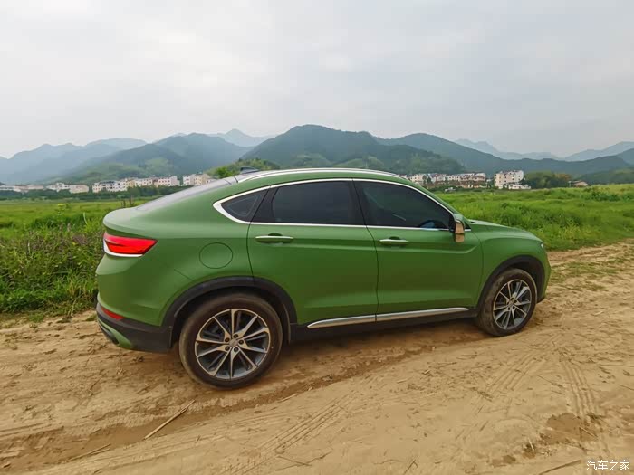 换了新颜色哑光军绿