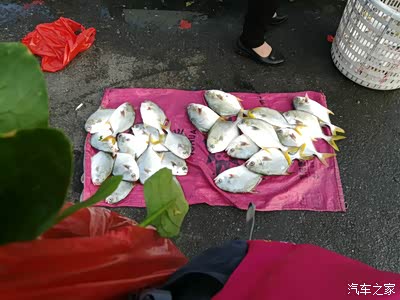 【恋上床车自驾游】2018春节一路往南