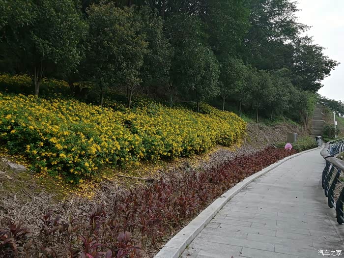 青口中央公园遛车记