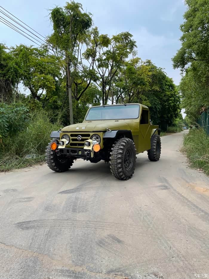 惊世之美的212小皮卡雨林蛤蟆