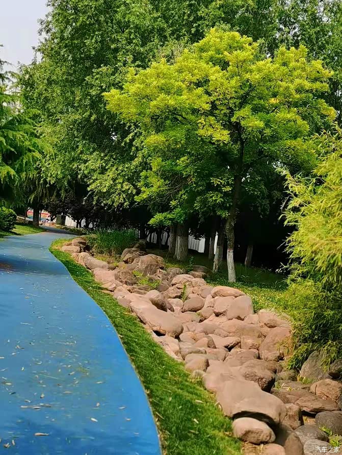 绿色湖光如此清凉