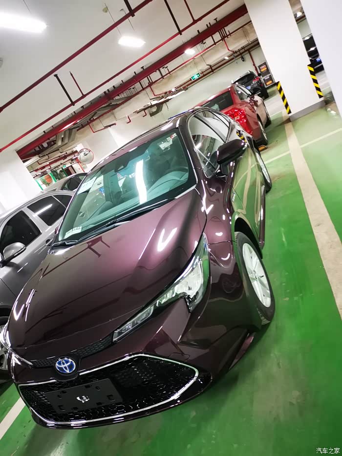 星云紫大家觉得怎么样