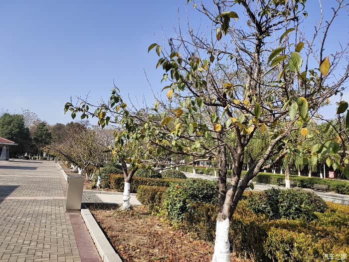 秋冬的官林公园别致的美