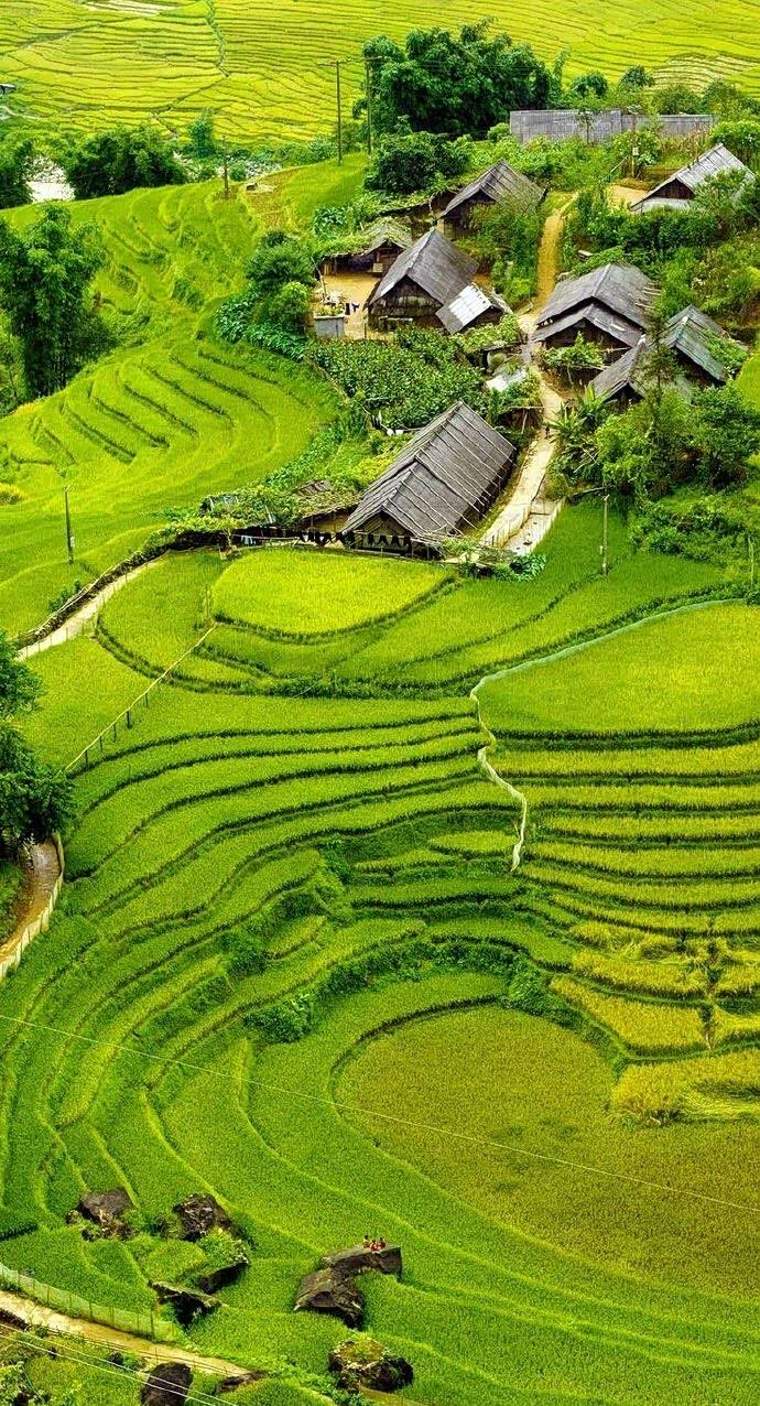 梯田的美,你可曾见过?是否震撼你的视觉