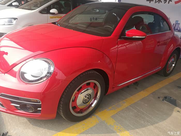 红色甲壳虫好看哦