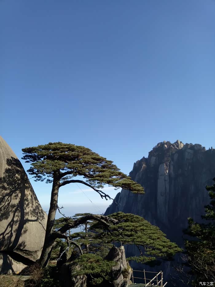 积分大放送黄山迎客松