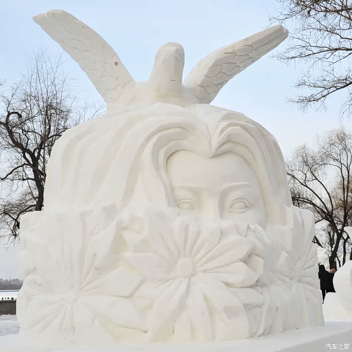 大白陪我松花江畔看雪雕