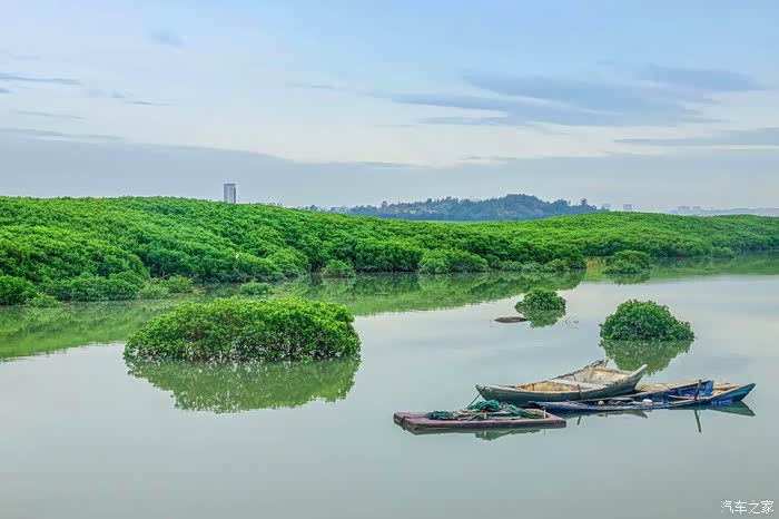 【图】自驾打卡泉州红树林湿地公园_朗行论坛_汽车之家论坛