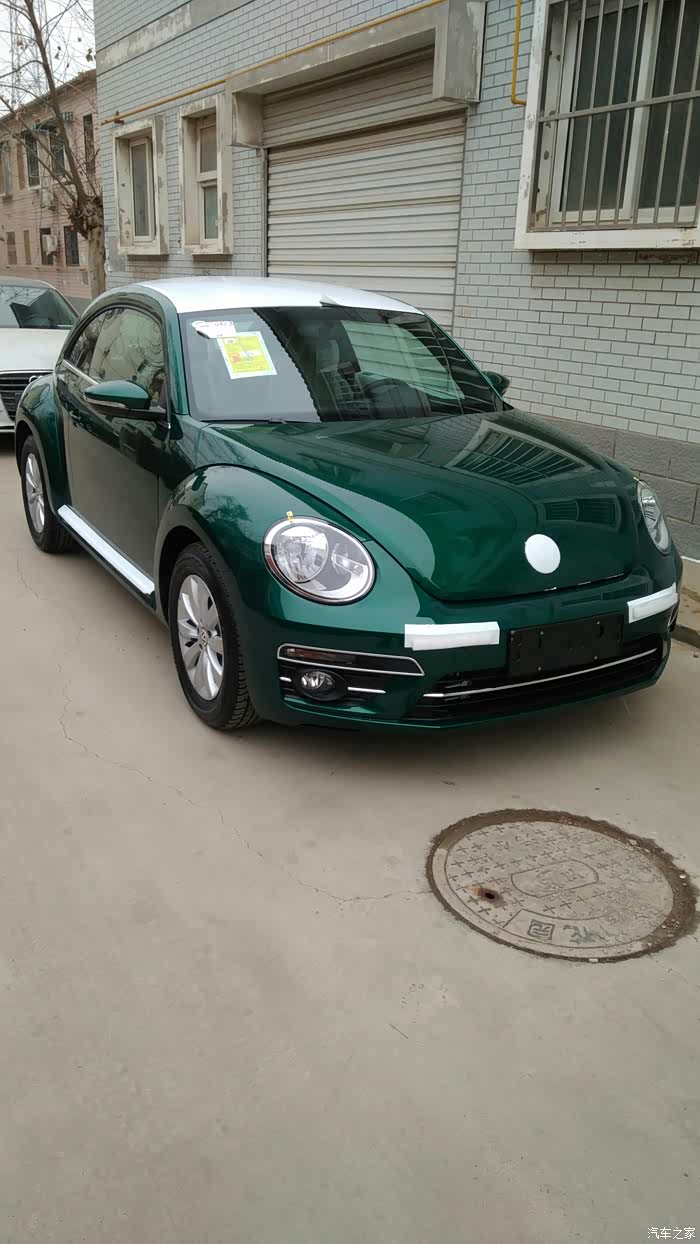 18款的甲壳虫宜乐版有竹篱绿这个颜色么