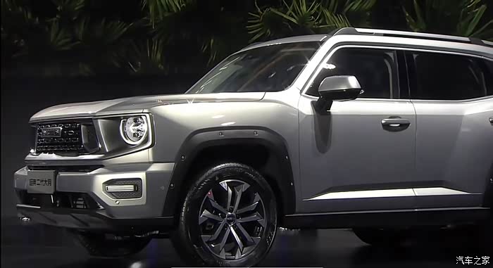 哈弗狗家新成员大狗二代